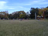 Click to see PA140091.JPG